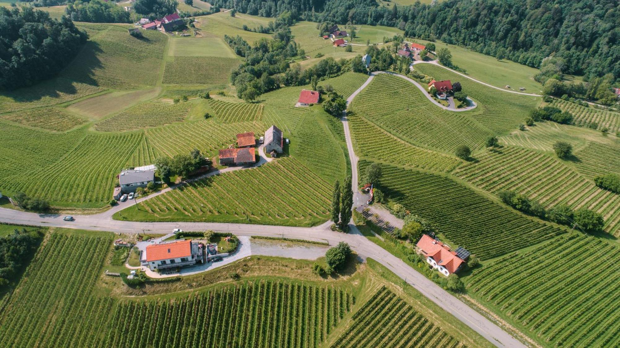 Weinstrassenapartment Fam. Dietrich Ratsch an der Weinstraße 외부 사진